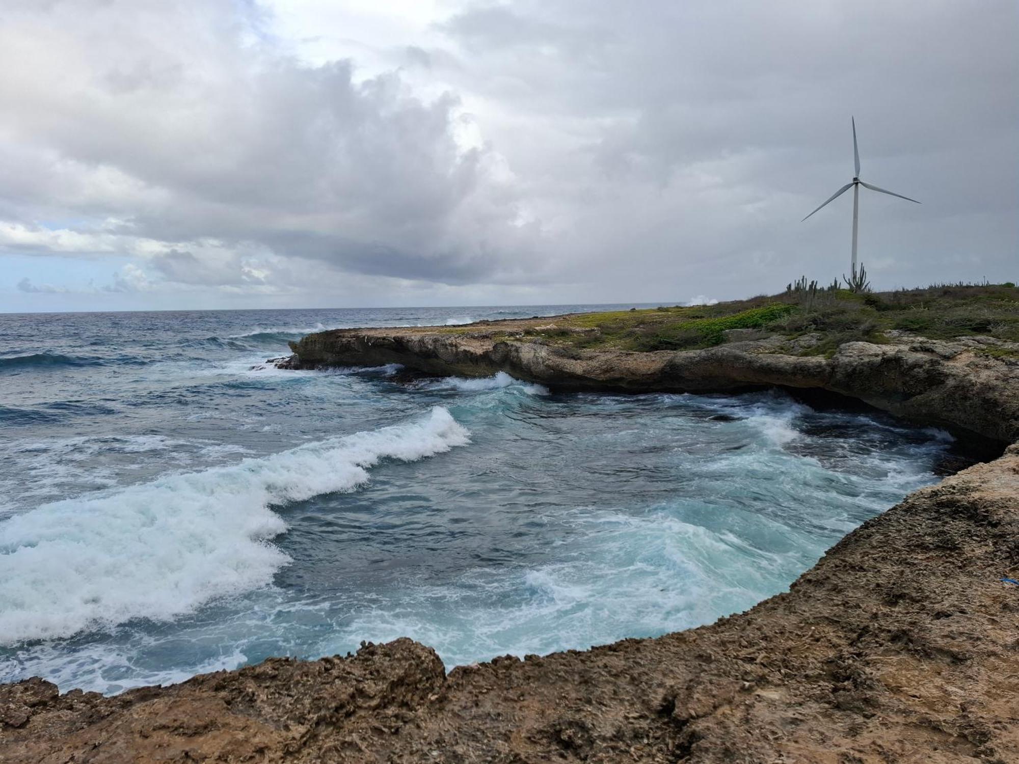 Cattleya Apartments Curacao Willemstad Dış mekan fotoğraf